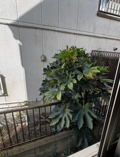 サークルハウス京成小岩 その他3