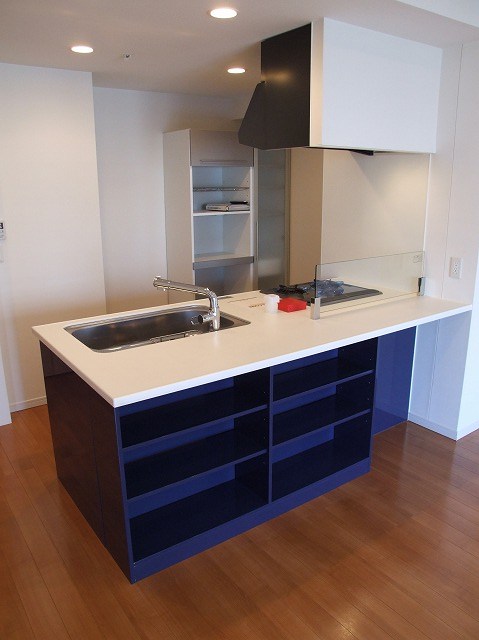 ロイヤルパークスタワー南千住 キッチン