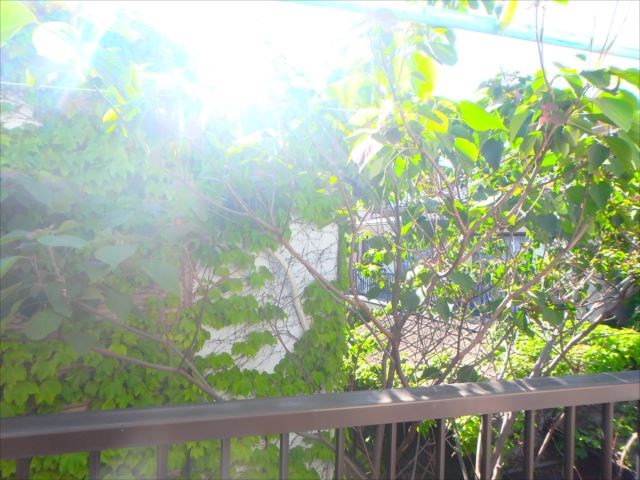 ワースエステイツ その他4