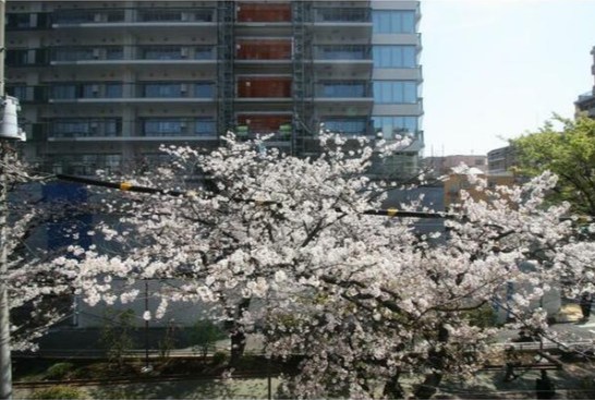 平塚ビル その他5