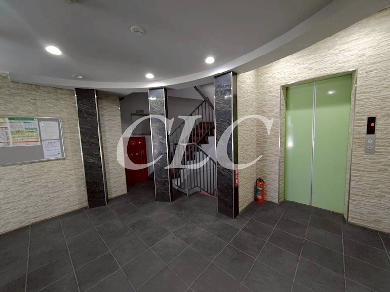 サンライズ入谷 その他8