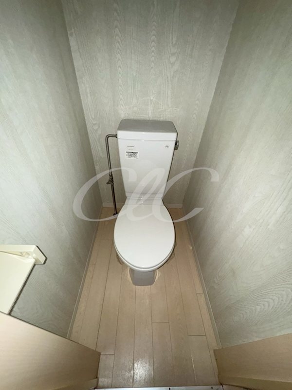 アルバティアラ  その他1