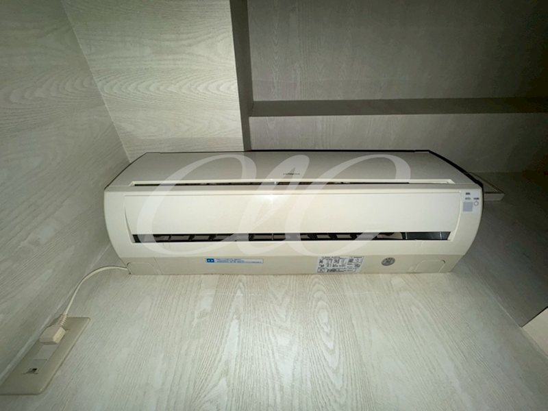 アルバティアラ  その他5