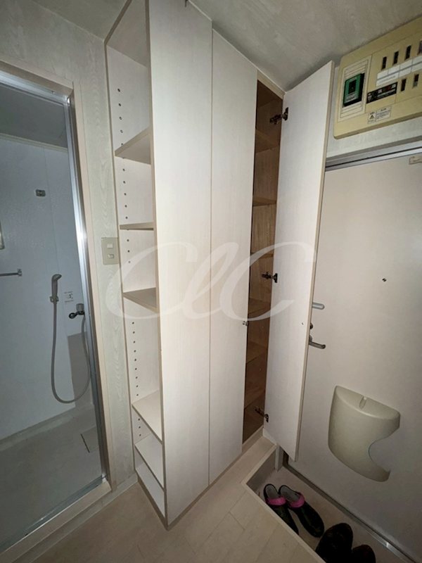 アルバティアラ  その他7