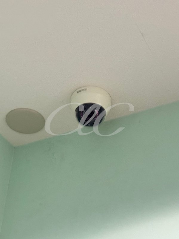 アルバティアラ  その他10