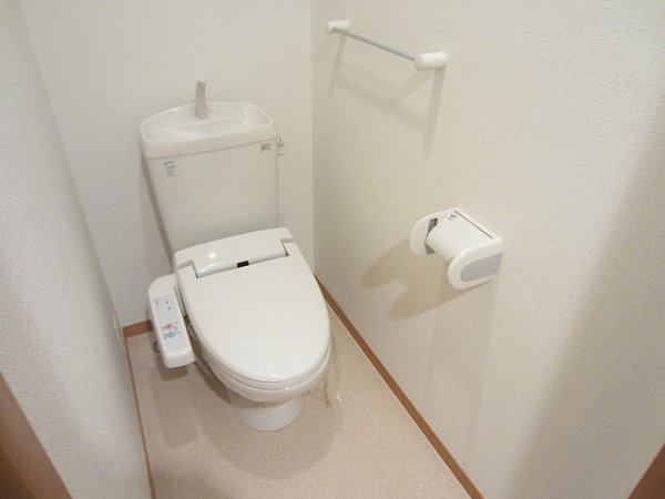 コーラル　ブルー その他3