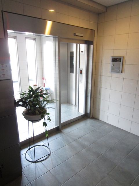 コーラル　ブルー その他7