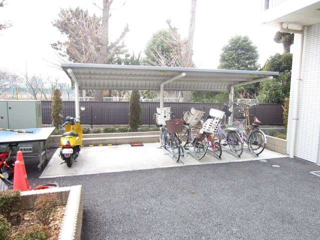 コーラル　ブルー その他11