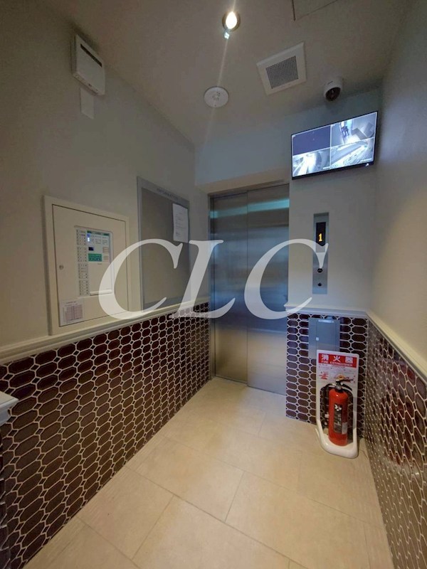 タイガーアパートメント その他5