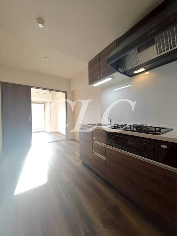 タイガーアパートメント その他17