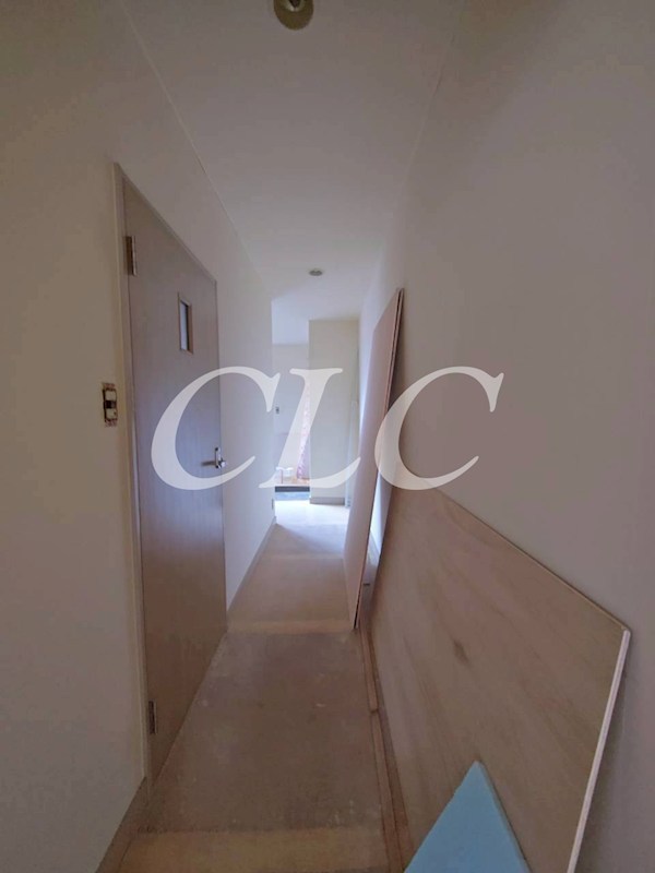 マイティー町田 その他7