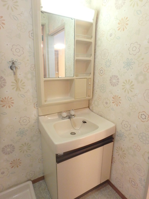 シルバースティック その他2