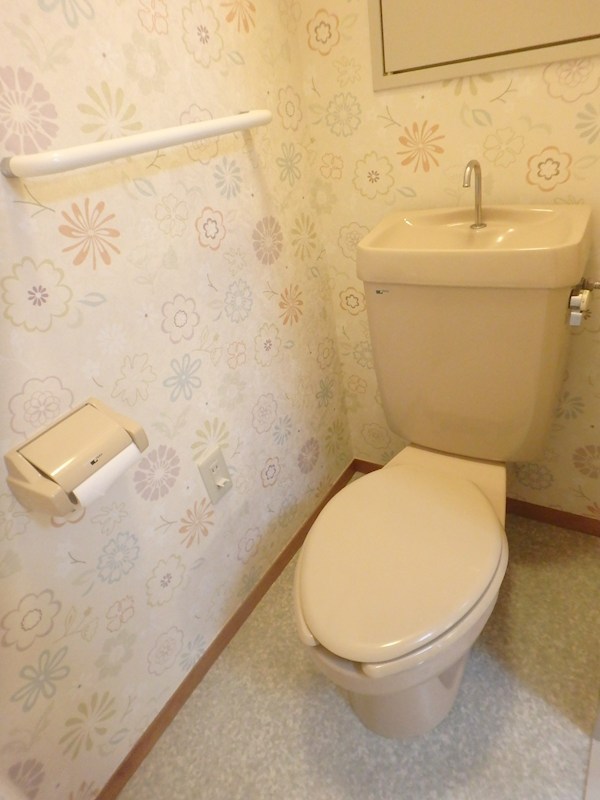 シルバースティック その他4