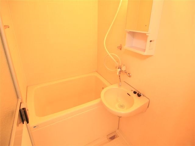 ドムスシーハイル その他4