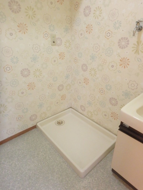 シルバースティック その他3