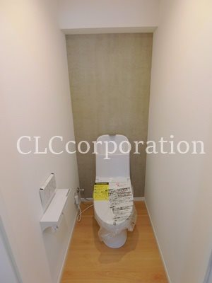 カーサーシンセラー  その他3