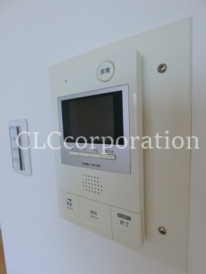 カーサーシンセラー  その他5