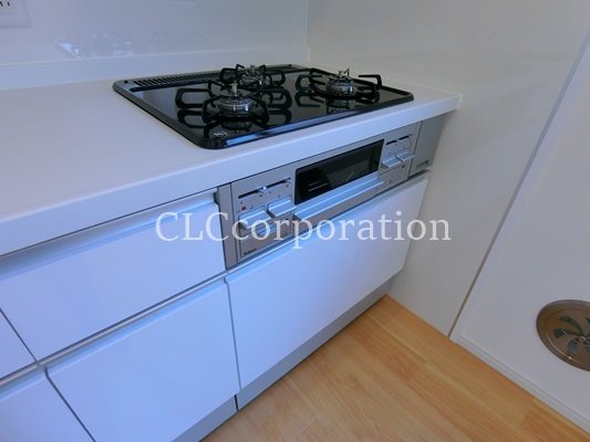 カーサーシンセラー  その他14