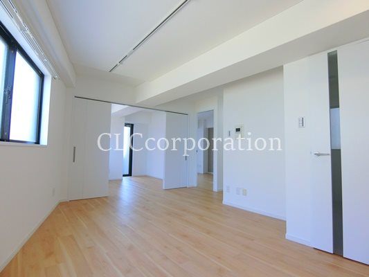 カーサーシンセラー  その他16