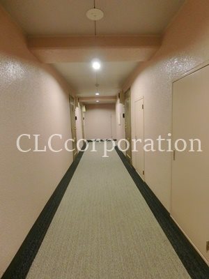 カーサーシンセラー  その他17