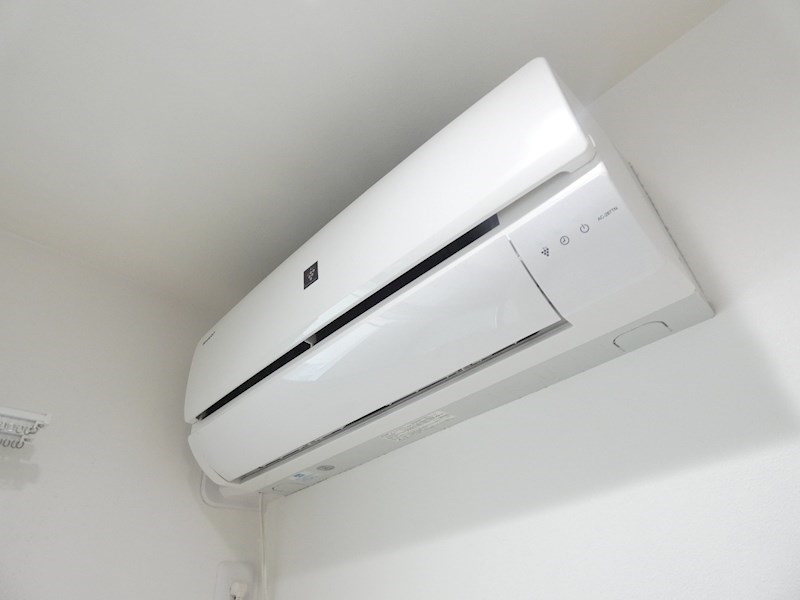 アウリー綾瀬 その他5