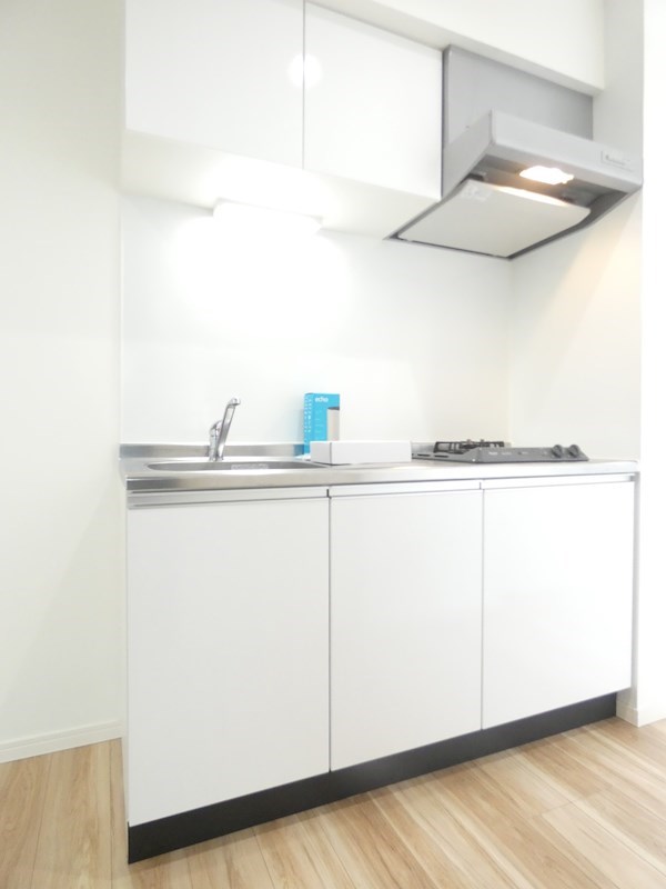 アウリー綾瀬 その他6