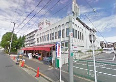 クレイドルガーデン江戸川区大杉　第１２　２号棟 周辺画像8