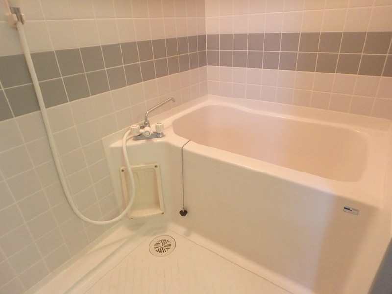 シルバースティック 風呂画像