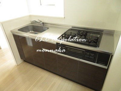 ＴＳⅡ  キッチン