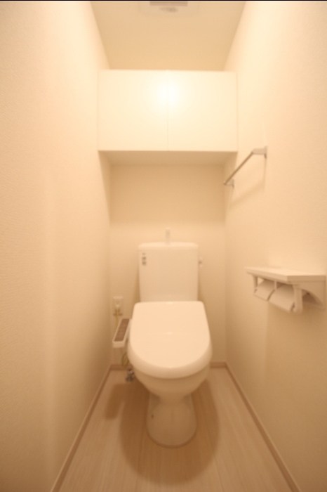 マウナケア その他1