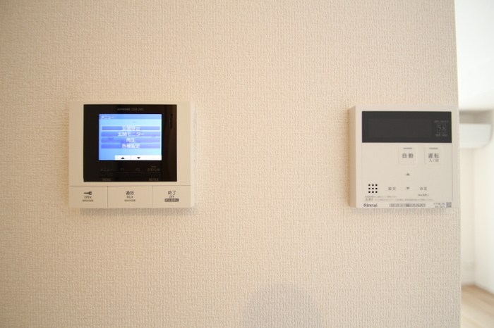 マウナケア その他4