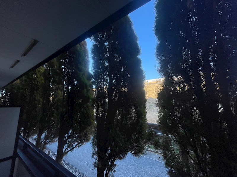 ハーバーイレブン   その他3