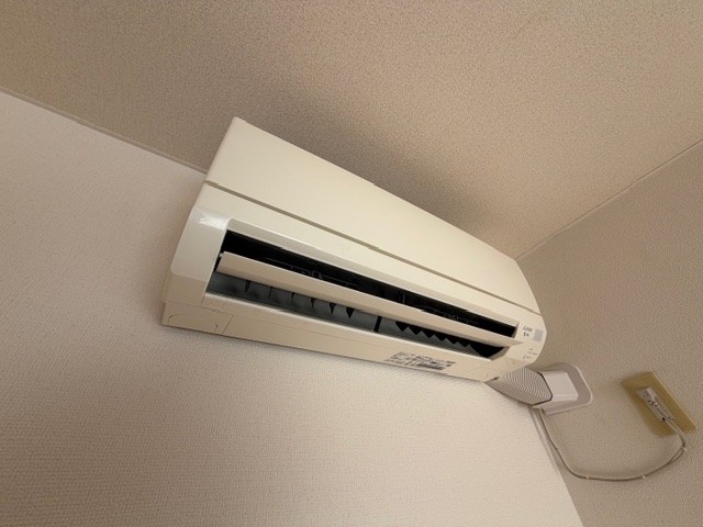 WELINA SHOEⅡ その他5