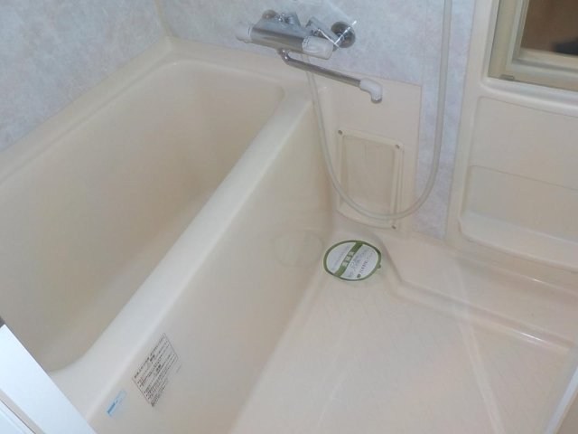 グラーサ銀座イースト 風呂画像