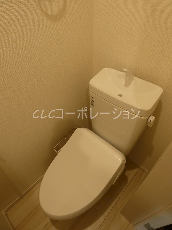 TIZ　CARROT その他4