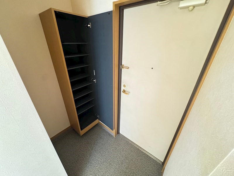 アクロポリス亀有 玄関