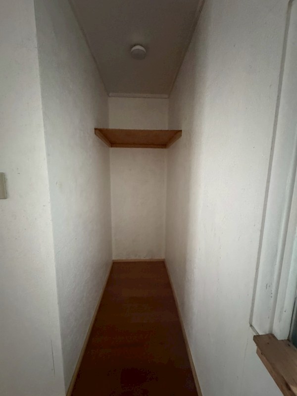 塩浜２丁目戸建 その他9