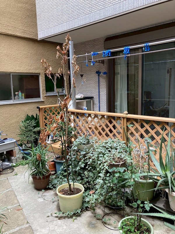 立花３丁目住宅（仮称） ベランダ