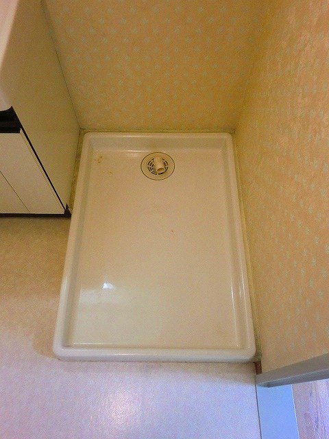 シルバースティック その他5