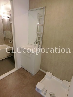 カーサーシンセラー  その他2