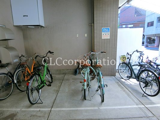 カーサーシンセラー  その他8