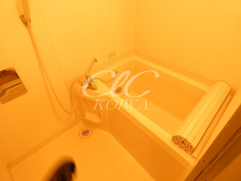 マノワールアズマ 風呂画像