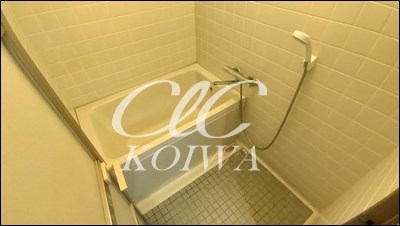 第六石井ビル 風呂画像