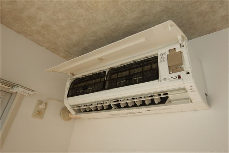 フローラ8 その他5