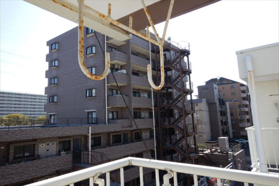 フローラ8 その他6