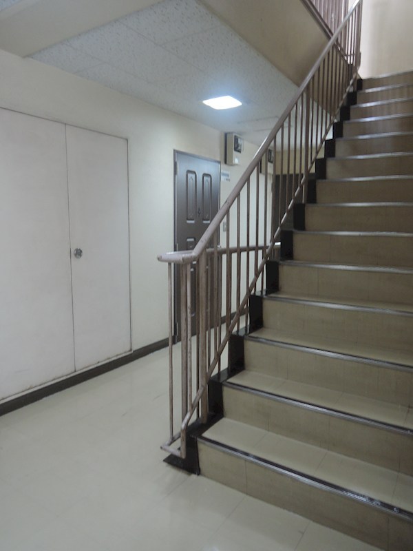 福原トータス その他2