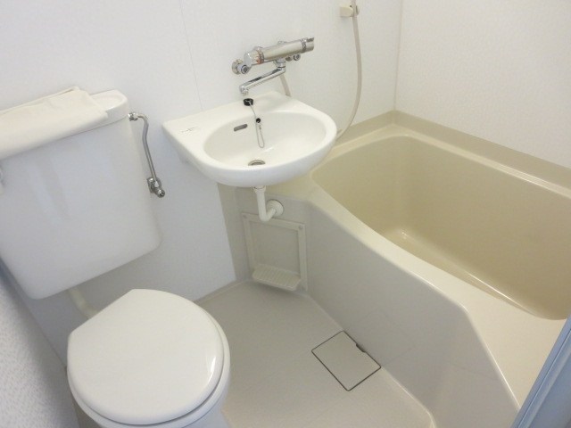 フェリシアイズミ その他3