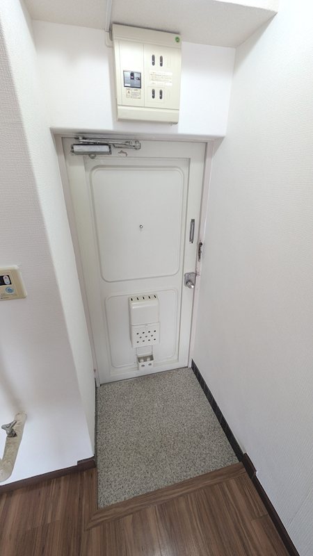 ニューシャトレーマンション 玄関