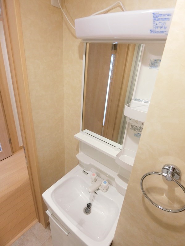 Ｐａｃｅ　Ｆｏｎｔａｎａ その他2