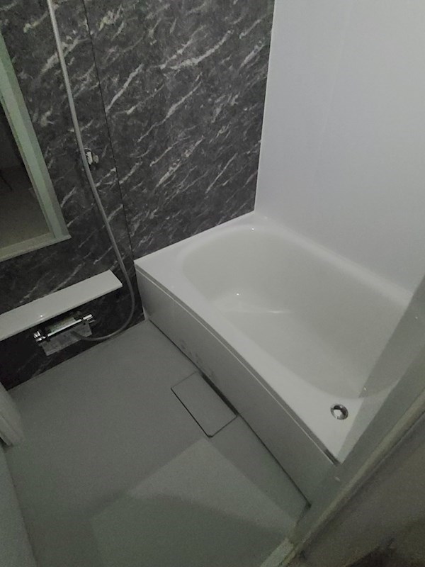 ルリアン綾瀬Ⅱ 風呂画像